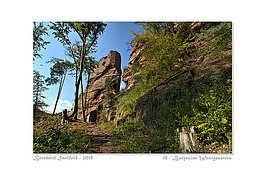 Bernhard Saalfeld - 18 - Burgruine Wasigenstein_800